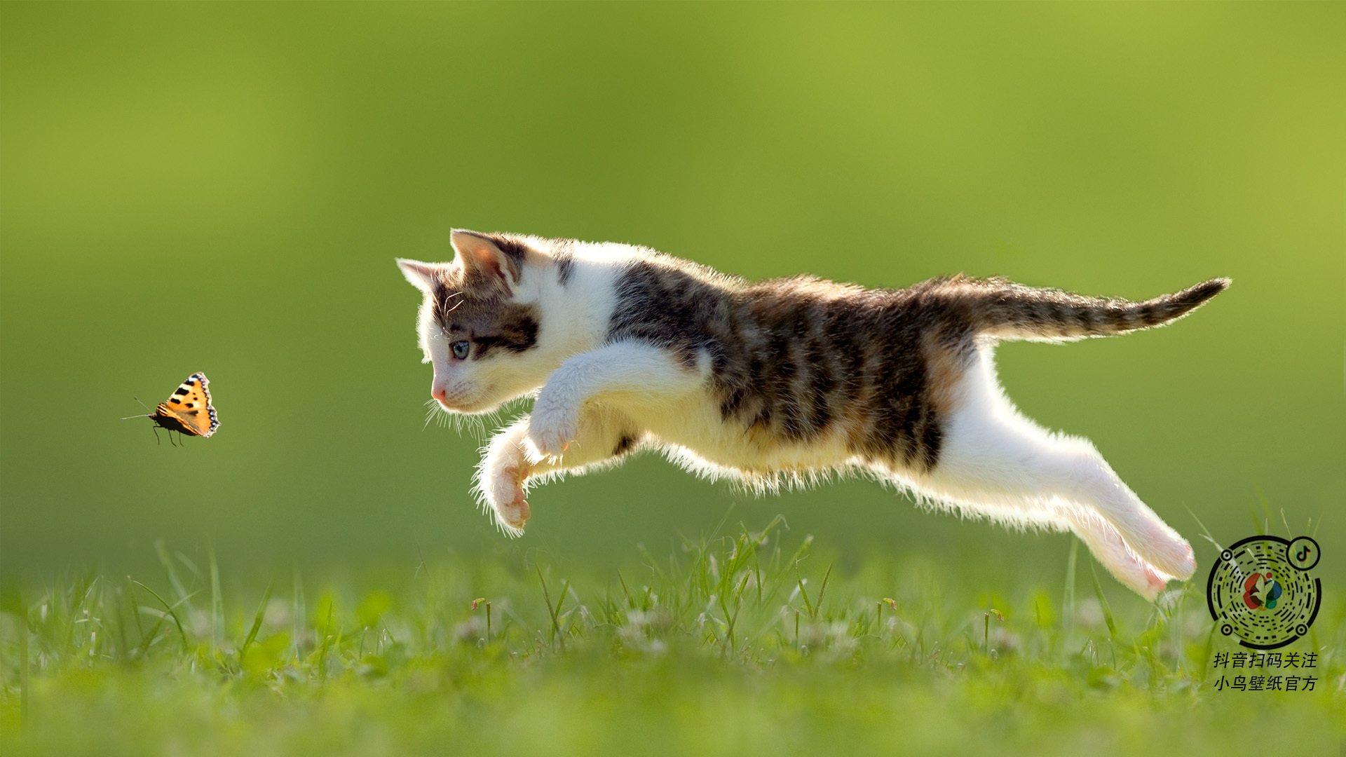 帕尔默闪耀全场，亚特兰大强势压制埃及