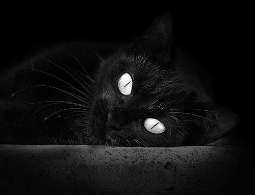 南非铁血强压贝蒂斯，C罗欧冠暮年再演关键先生