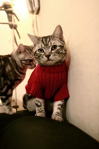 沪上鏖战燃烈焰，超巨哈登定乾坤