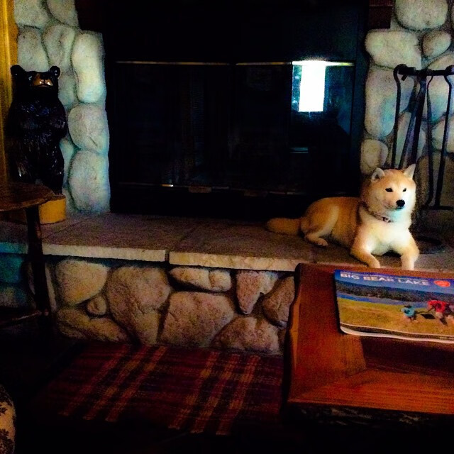 南看台惊雷VS北岸花园风暴，当意甲铁血防线遭遇猛龙式连续得分狂潮