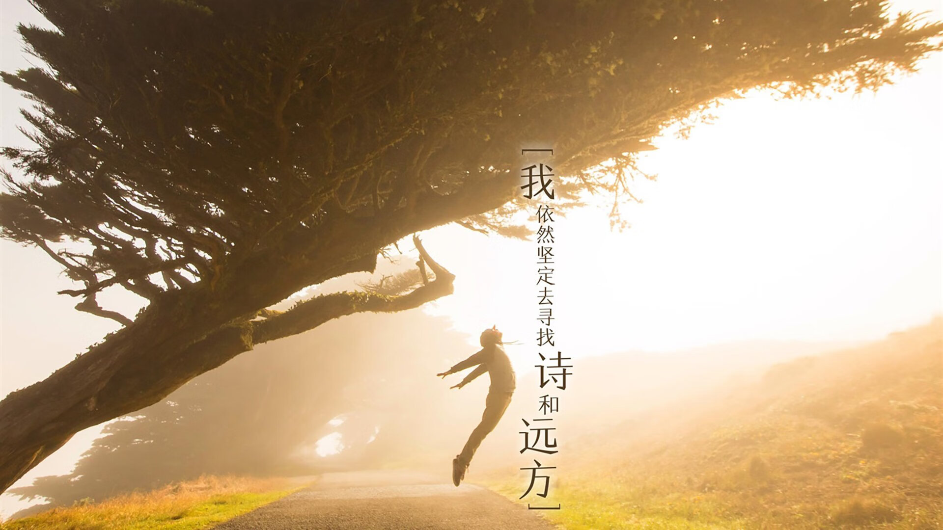 亚洲铁闸的欧洲答卷，金玟哉在沙土焦点战中重塑防守美学