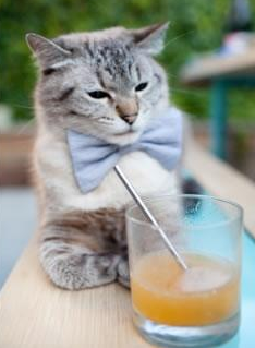 惊天逆转！猛龙翻盘掘金，杰伦·格林，大场面先生，舞台越大越强