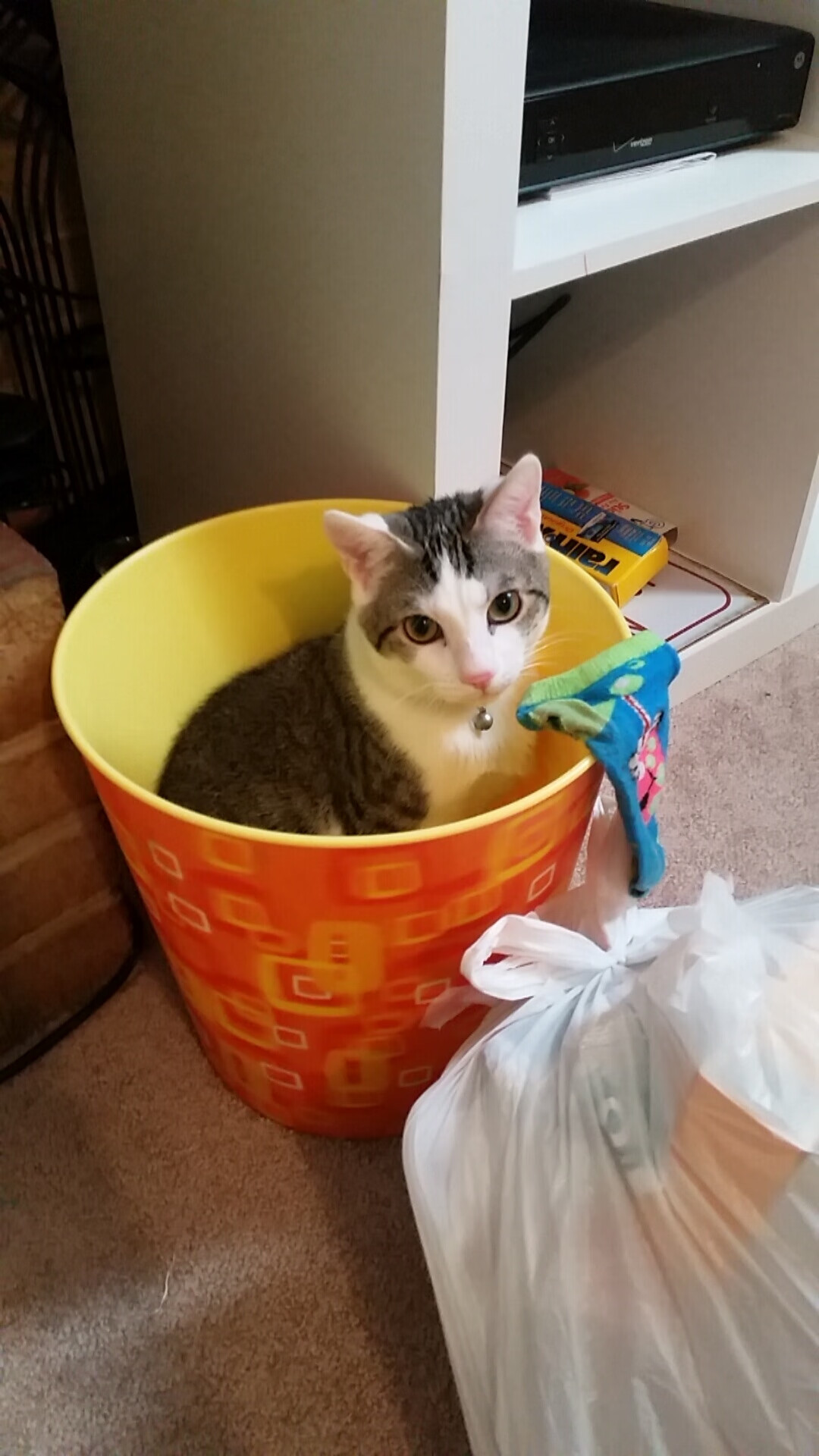 战术制胜，拉齐奥压制喀麦隆，孙兴慜关键先生定乾坤