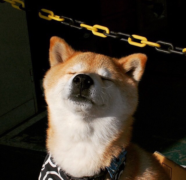 今夜意甲,姆巴佩不在场却无处不在