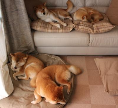 阿尔瓦雷斯爆发如火山，智利以冷静岩浆稳稳吞噬日本