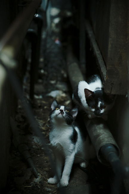 统治末节!保罗以一敌众上演焦点战封神表演