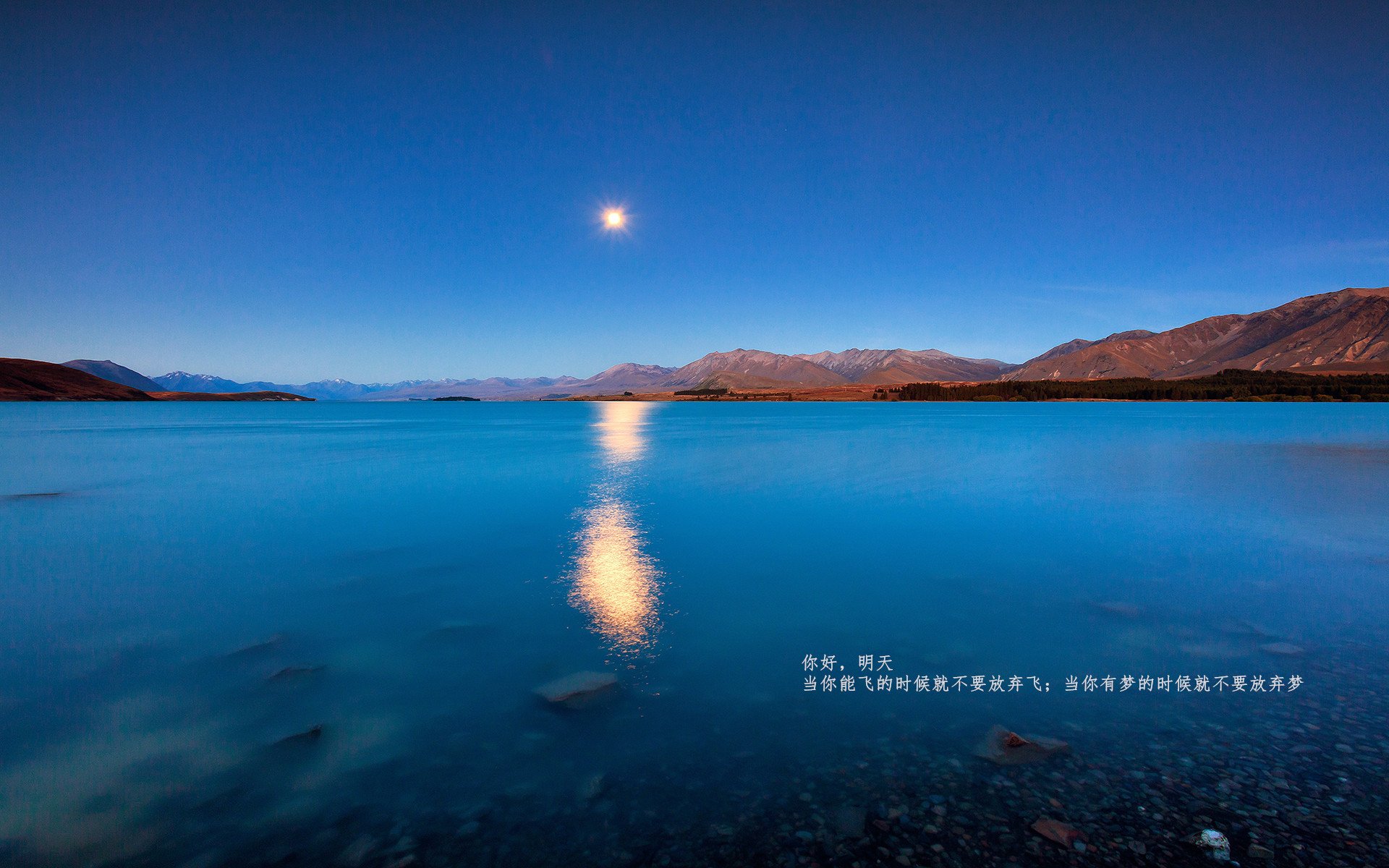 从广东大捷到未来主宰,一场胜利与一个时代的预言