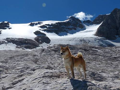 虚拟战报，当凯尔特绿军踏平银黑军团，杜兰特在平行时空主宰了战局