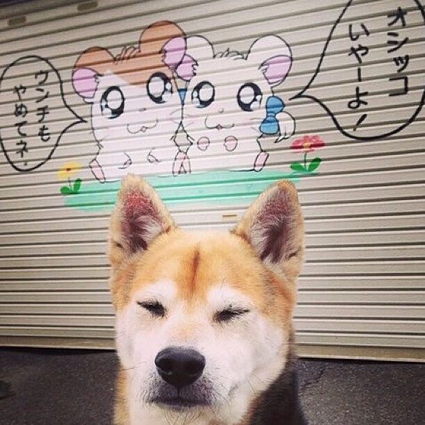 皇家社会的警示，后腰维度如何影响英超冠军天平