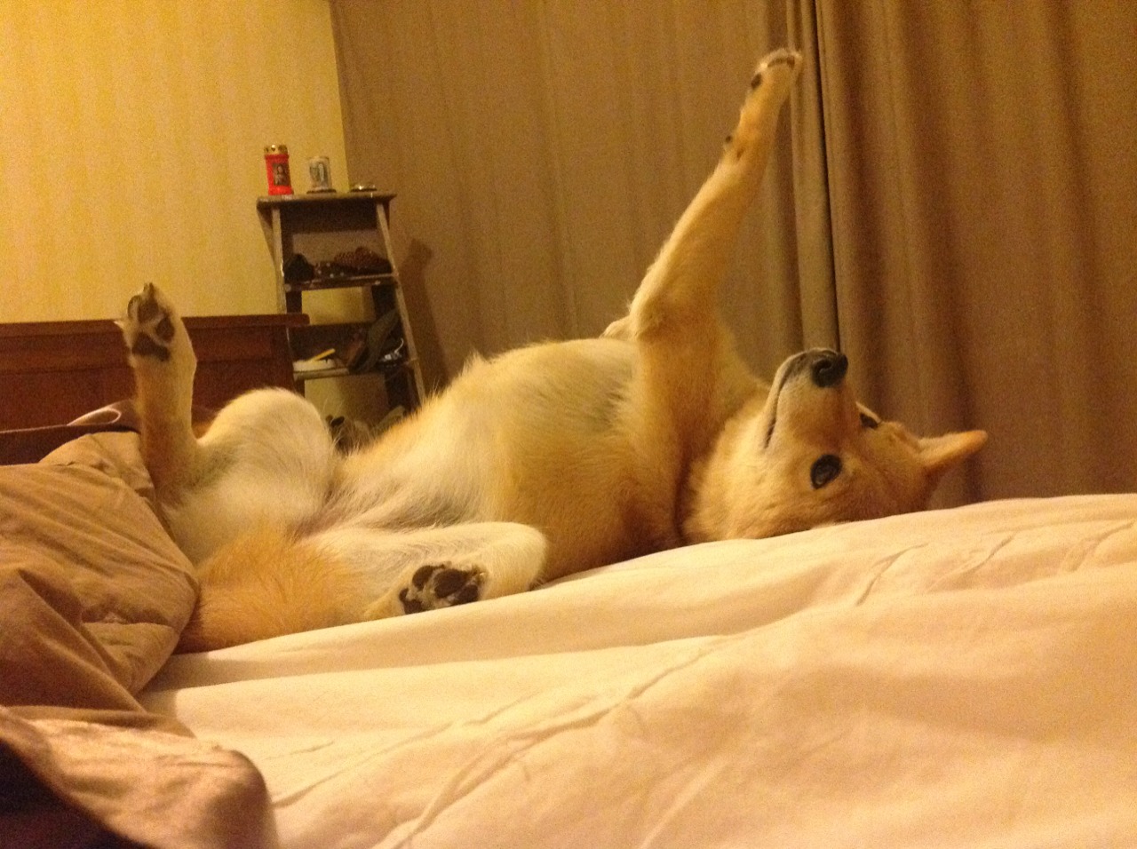 掌控者之夜，奥纳纳如何以无形之手，拨动德甲争冠的天平