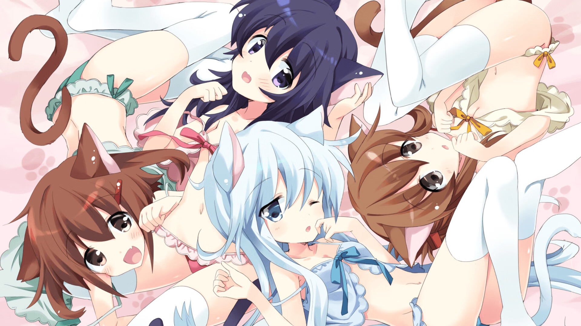 年度焦点之战,辽宁队力克森林狼,跨联赛对决谱写篮球新篇章