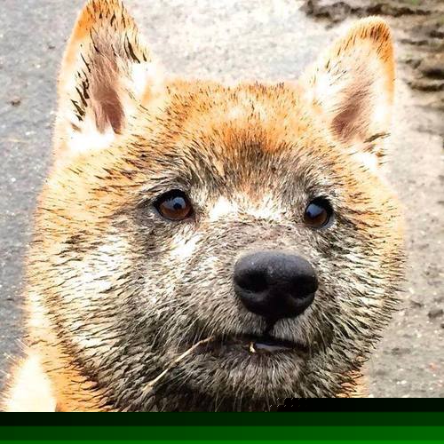 F1新赛季揭幕战点燃速度激情,比利亚雷亚尔欧战封锁希腊显防守艺术