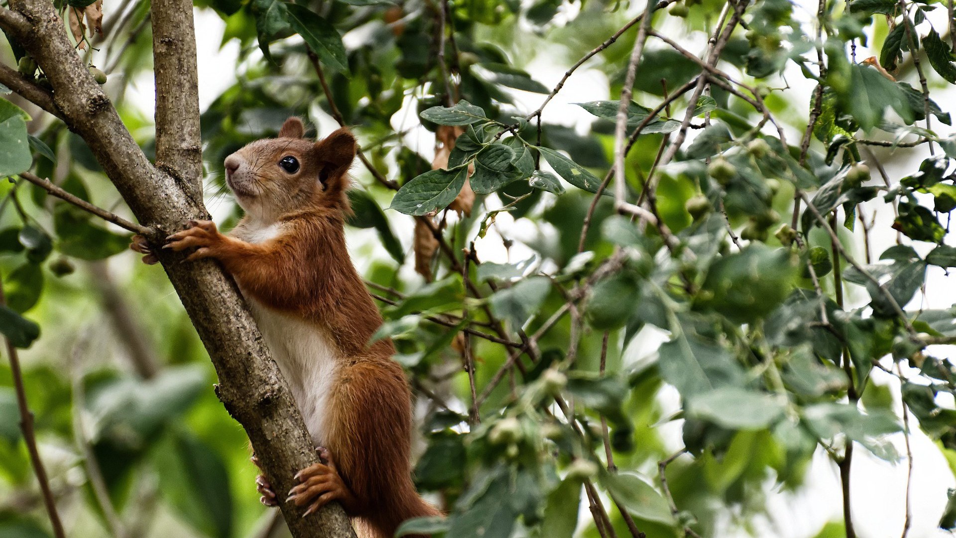 波波维奇的大局与爱德华兹的无我，当命运被接管的时刻