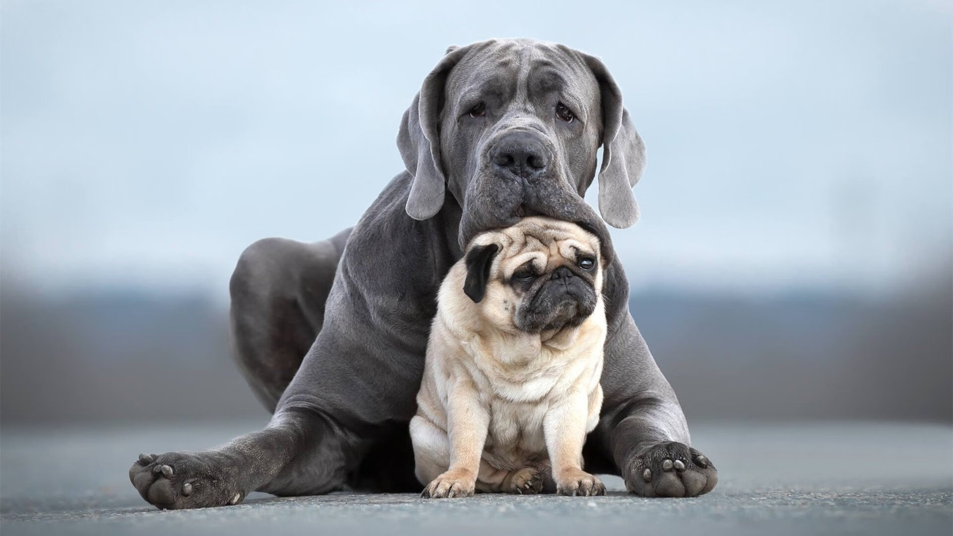 阿圭罗精神，NBA季后赛夜最满分的灵魂判词