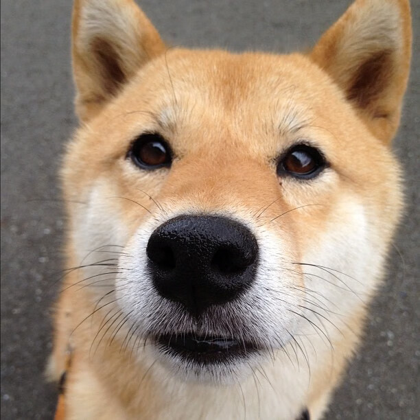 美加墨世界杯焦点战，新疆队踏平广厦队的战术启示