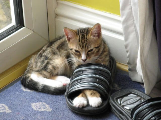 足球战术革新，马竞高压哲学与楚阿梅尼的德甲统治