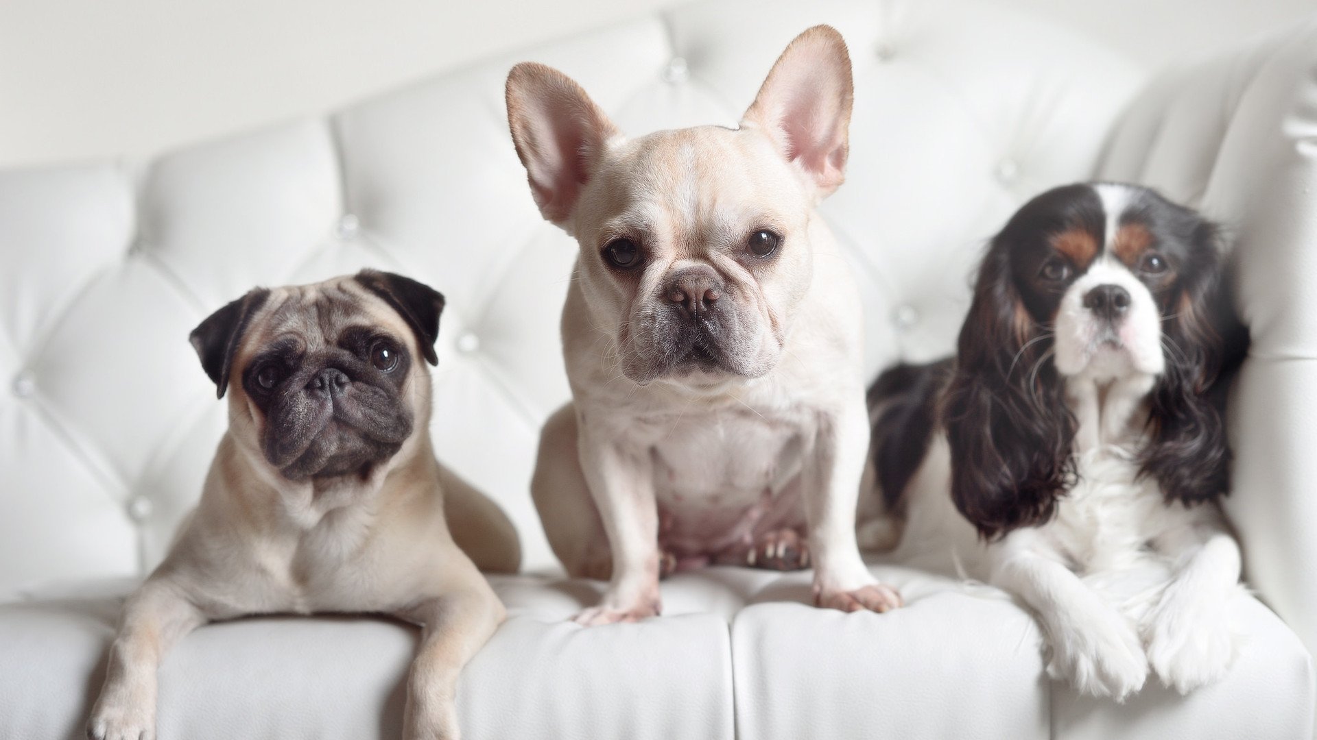 布伦森高光之战,独行侠逆境中的灯塔,照亮通往荣耀之路