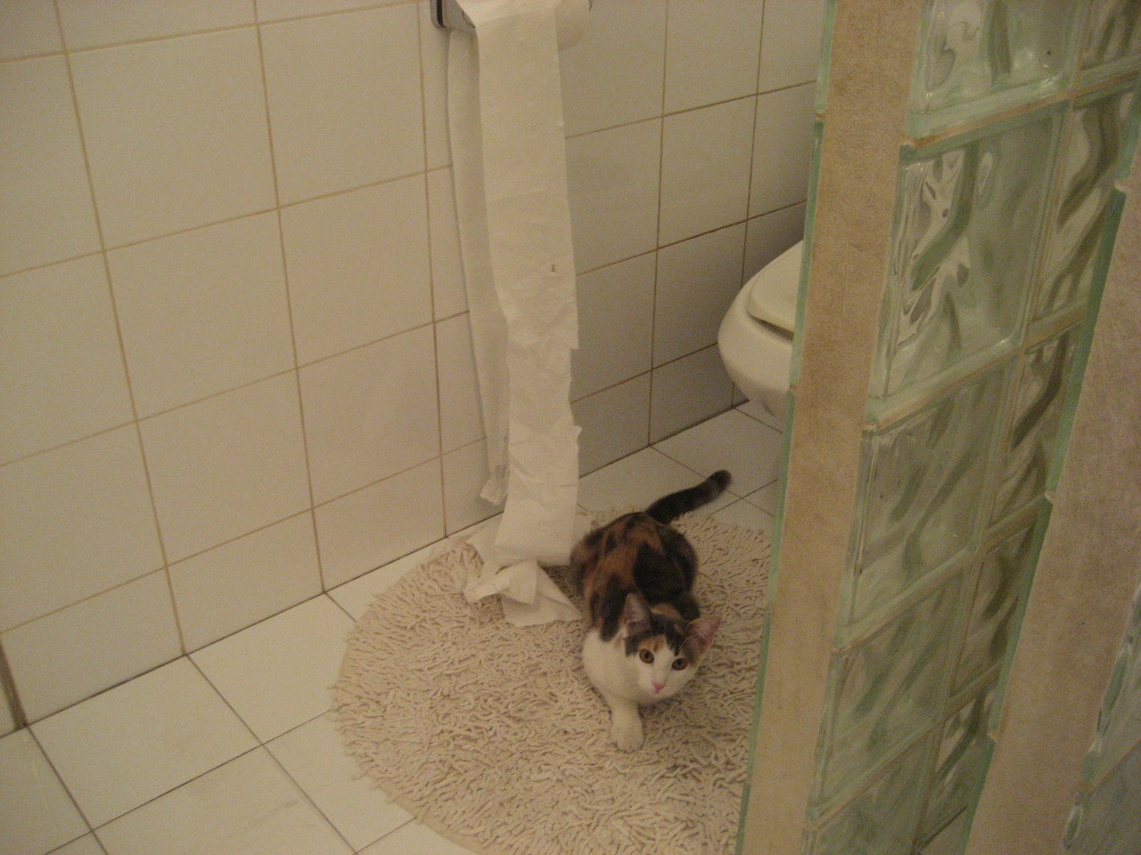 尤文绝境逢生!佩德里一锤定音助球队险胜克罗地亚