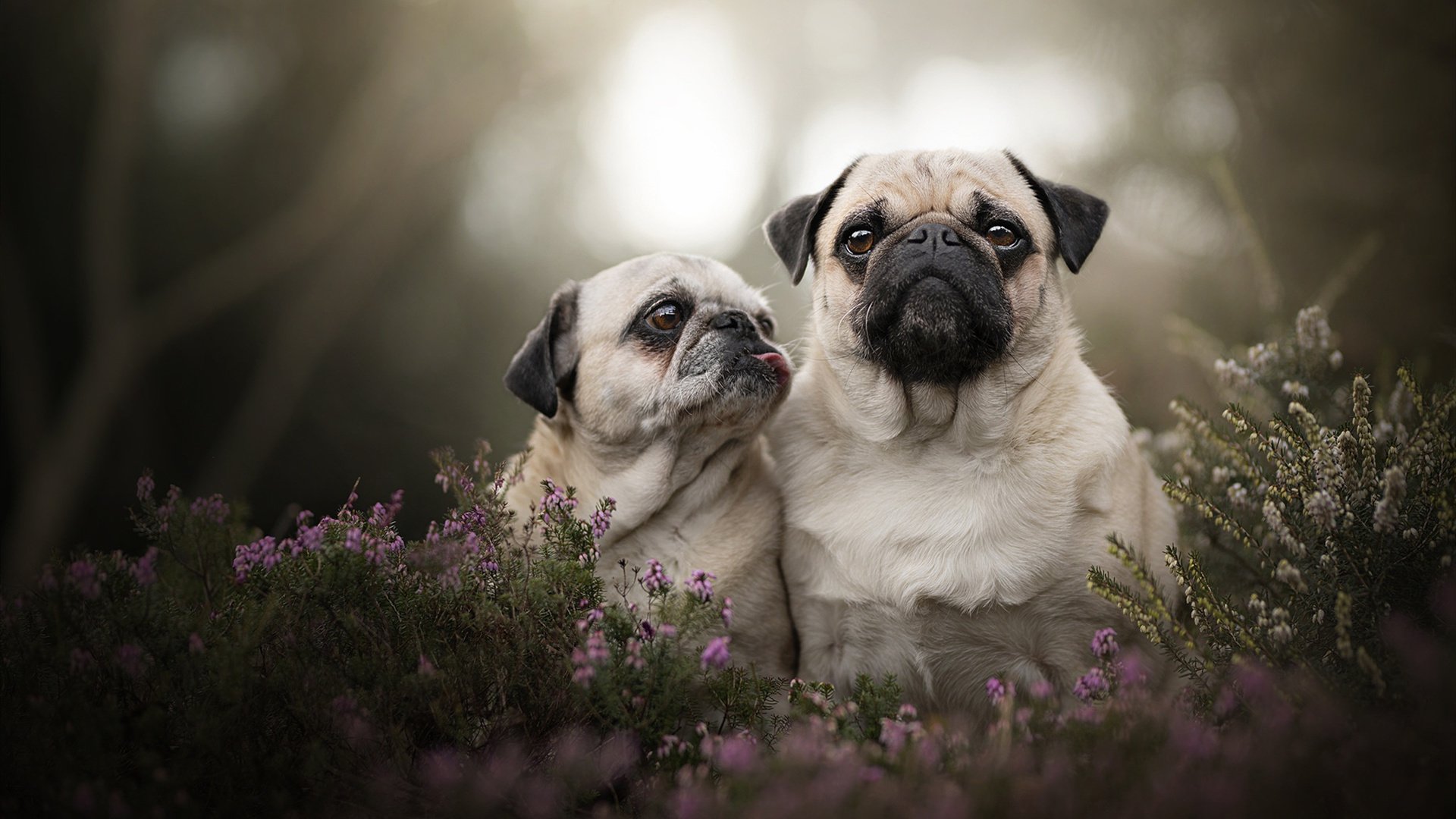 虚惊一场后的涅槃，奥纳纳如何在89分钟绝境中为几内亚正名