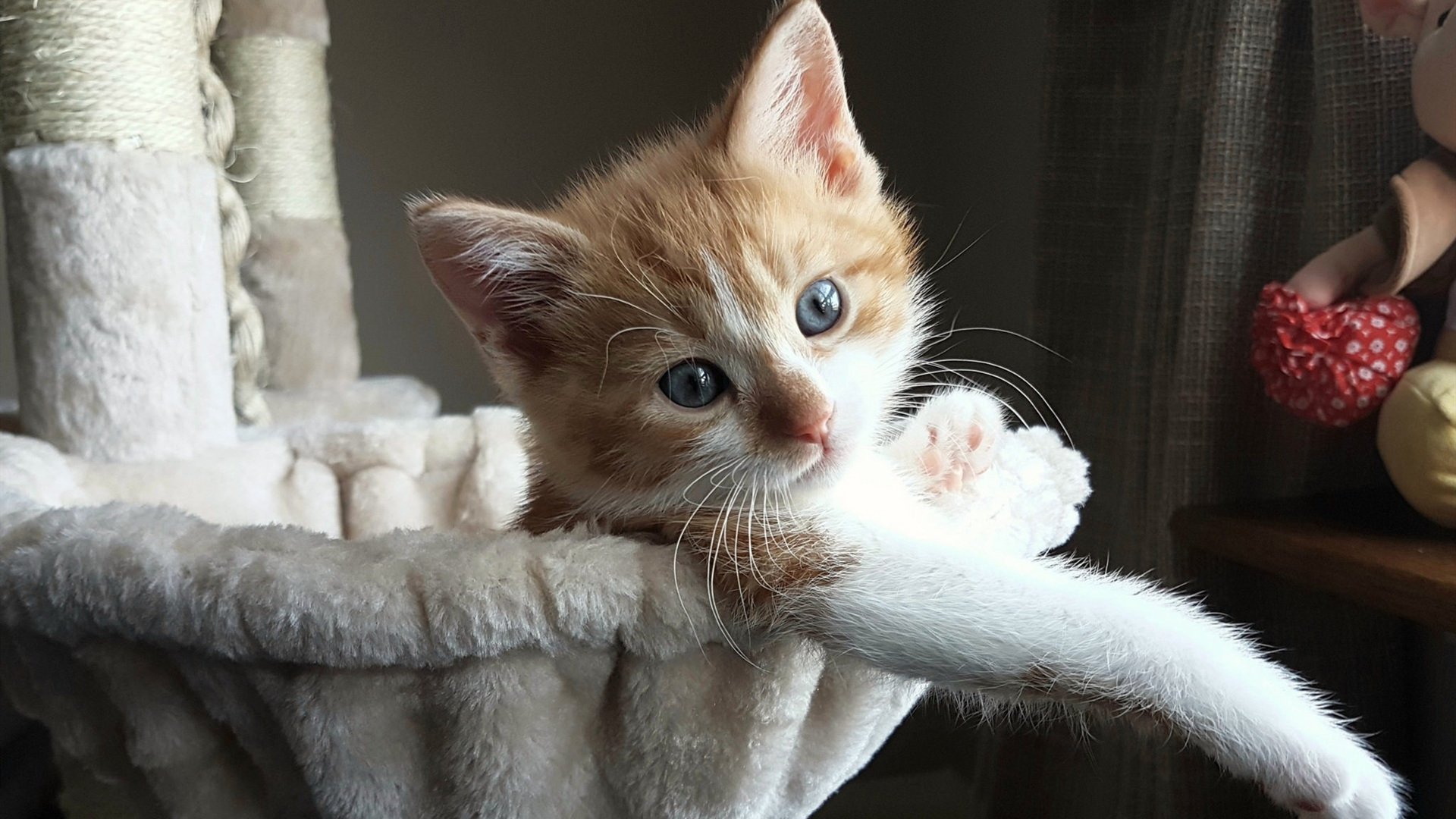 绝命三分，封神之夜