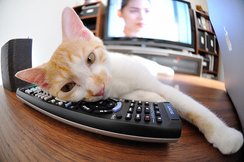 辽宁队连续得分狂潮压制勇士，伦纳德关键先生闪耀中美对抗赛