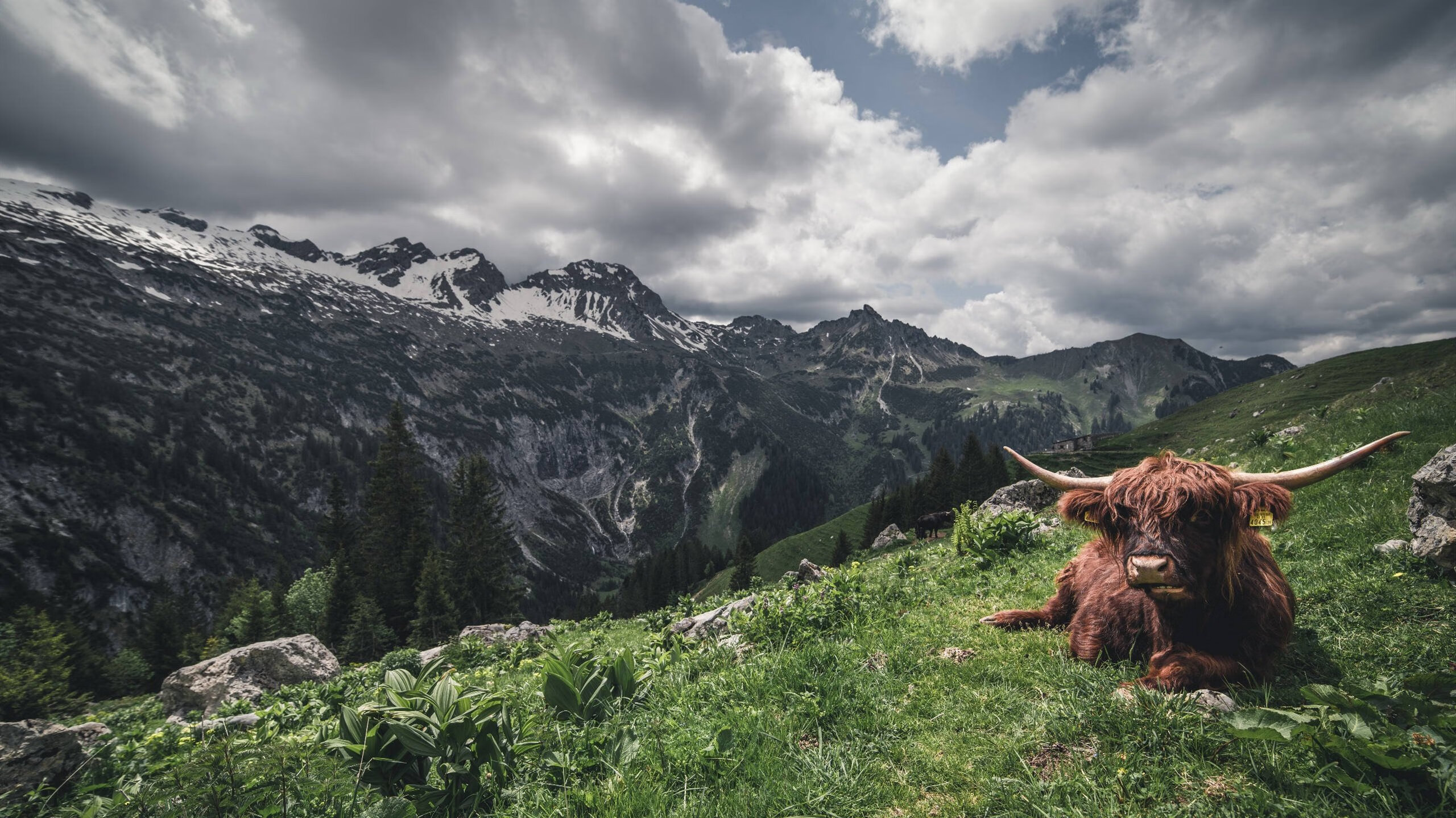 铁壁下的獠牙，卢卡库硬仗之王本色击穿贝蒂斯封锁